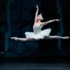 Ashley Bouder